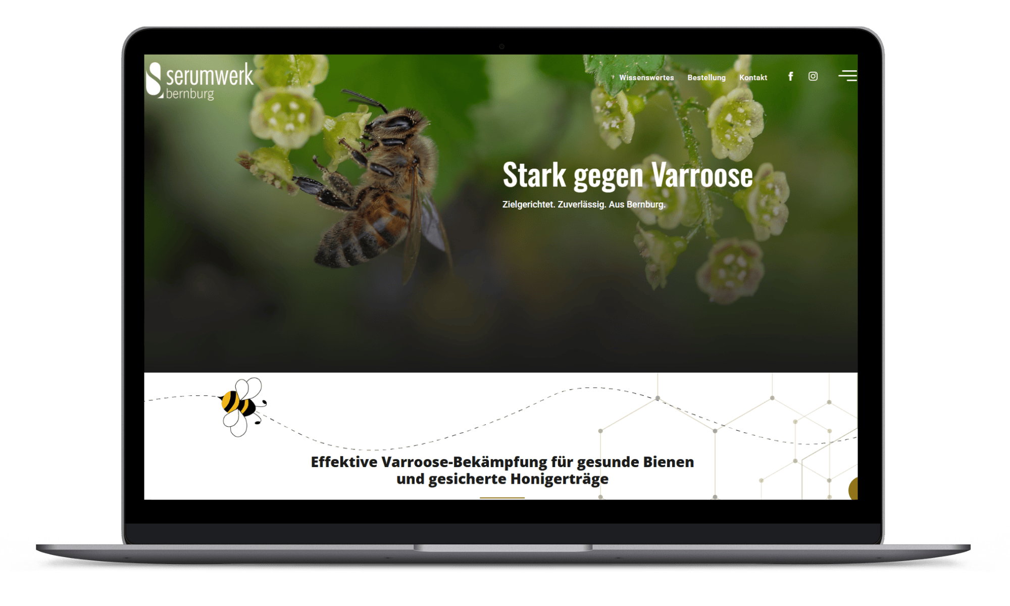 Omazing Referenzen - Serumwerk Bienengesundheit