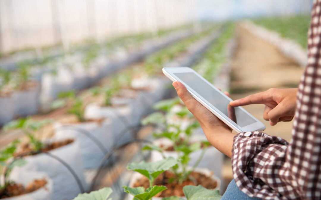 Digitale Lösungen für die moderne Landwirtschaft in Sachsen-Anhalt