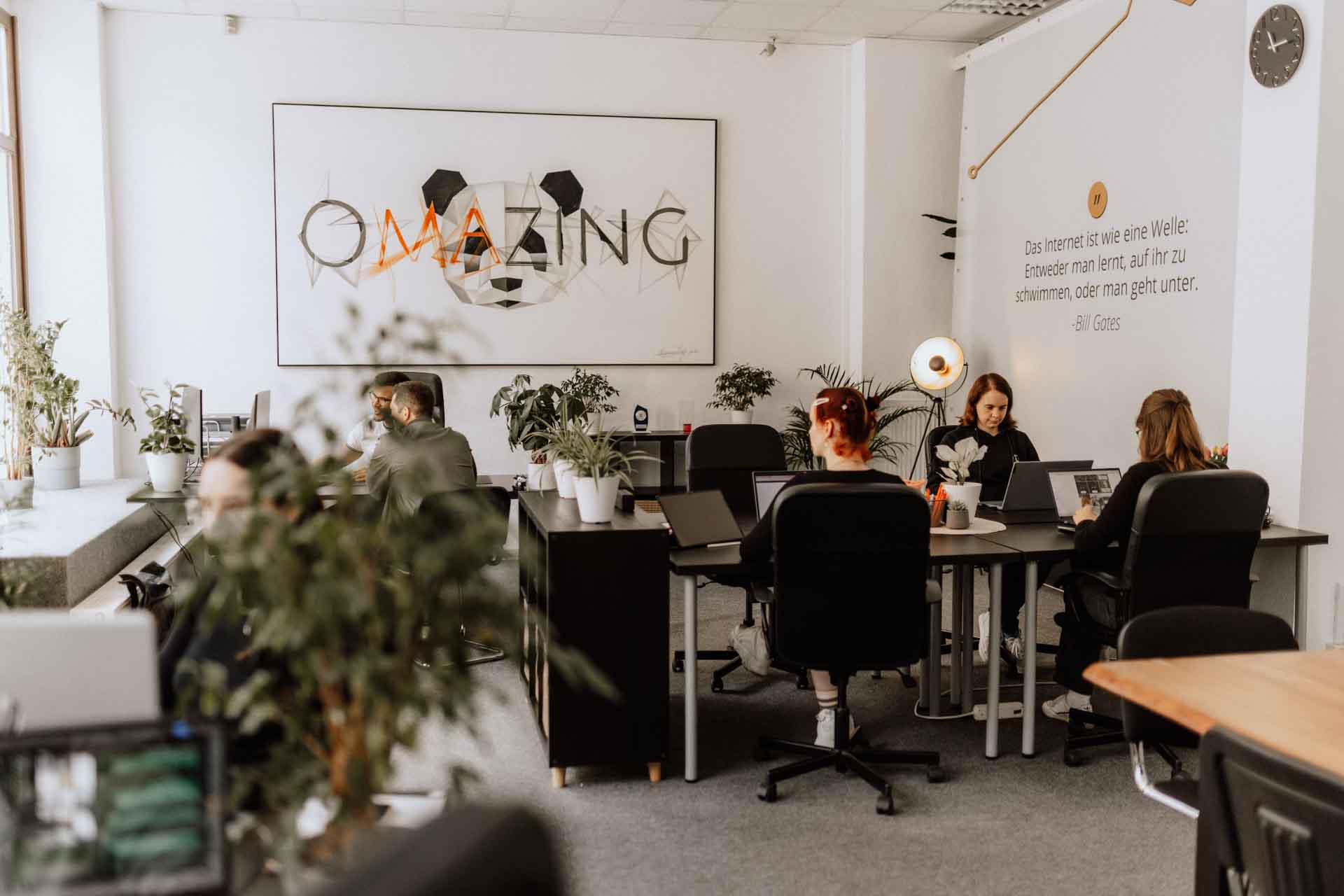 Webdesign Profis ganz lokal